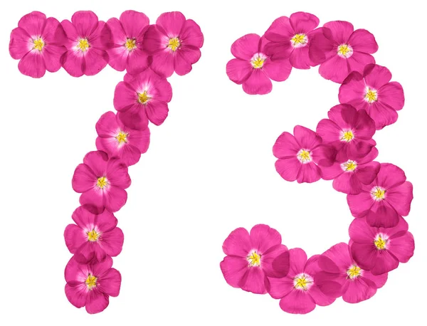Арабская Цифра Семьдесят Три Розовых Цветков Льна Выделенных Белом Фоне — стоковое фото