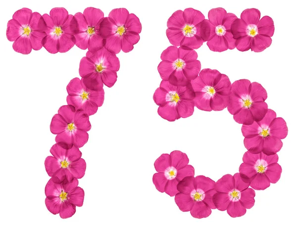 Números Arábigos Setenta Cinco Flores Rosadas Lino Aisladas Sobre Fondo — Foto de Stock