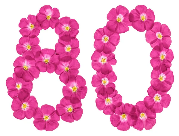 Arabic Numeral Eighty Pink Flowers Flax Isolated White Background — Stock Photo, Image