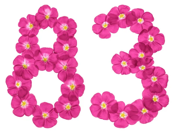 Арабская Цифра Восемьдесят Три Розовых Цветков Льна Выделенных Белом Фоне — стоковое фото