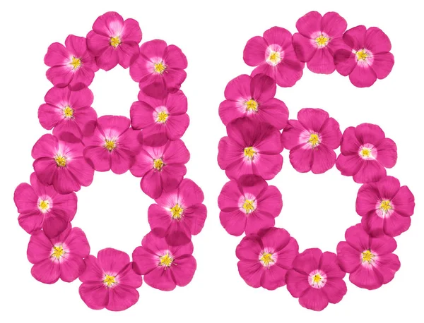 Арабская Цифра Восемьдесят Шесть Розовых Цветков Льна Выделенных Белом Фоне — стоковое фото