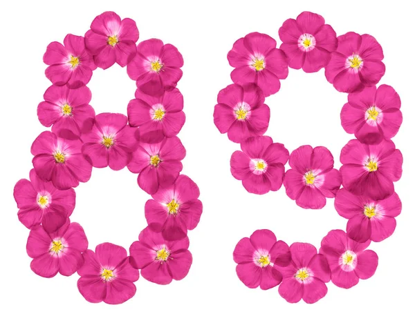 Arabic Numeral Eighty Nine Pink Flowers Flax Isolated White Background — Stock Photo, Image