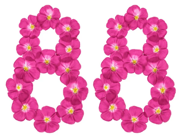 Arabic Numeral Eighty Eight Pink Flowers Flax Isolated White Background — Stock Photo, Image