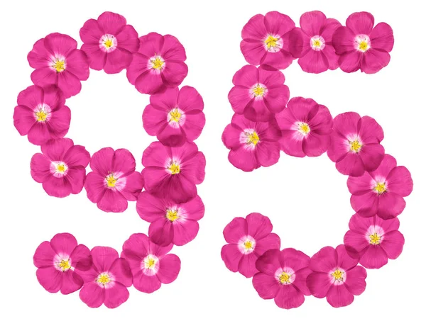 Арабская Цифра Девяносто Пять Розовых Цветков Льна Выделенных Белом Фоне — стоковое фото