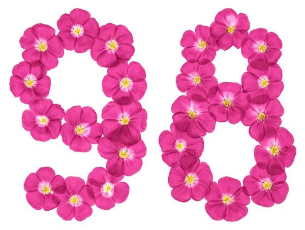 Arabic Numeral Ninety Eight Pink Flowers Flax Isolated White Background — Stock Photo, Image
