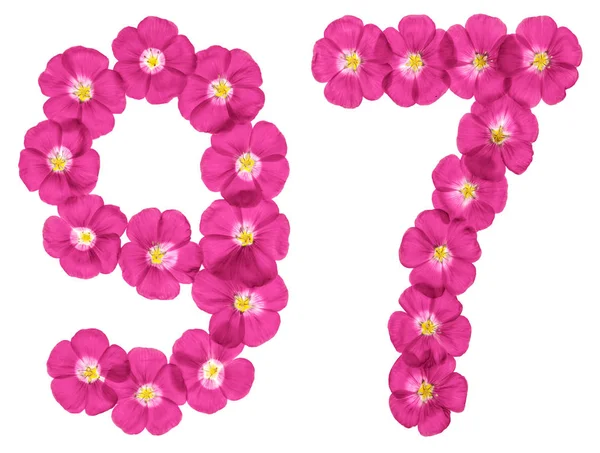Arabiska Siffror Nittio Sju Från Rosa Blommor Lin Isolerad Vit — Stockfoto