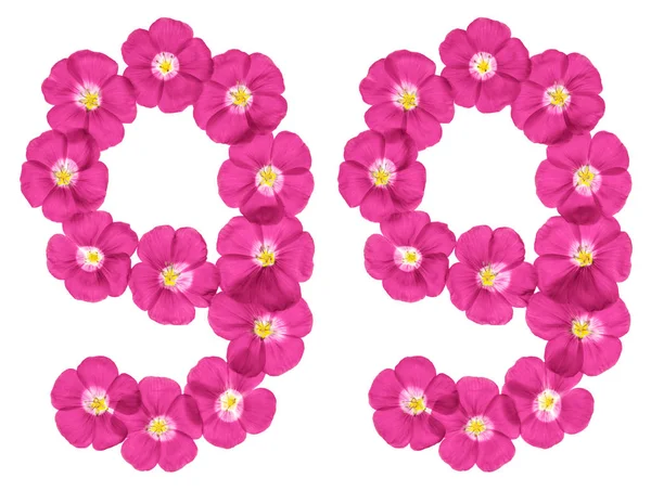 Арабская Цифра Девяносто Девять Розовых Цветков Льна Выделенных Белом Фоне — стоковое фото