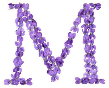 Alfabe, menekşe, çiçeklerin üzerinden gelen mektup M izole beyaz arka plan üzerinde