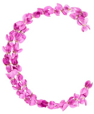 Mektup alfabesi, menekşe, çiçeklerin üzerinden C izole beyaz arka plan üzerinde