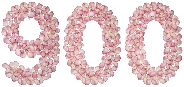 Arabiska Siffror 900 Nio Hundra Från Blommor Hydrangea Isolerad Vit — Stockfoto
