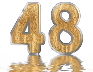 Rakamı 48, kırk sekiz, izole beyaz, su yüzeyine yansıyan 3d render