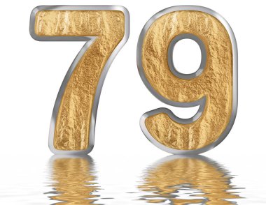 Rakamı 79, yetmiş dokuz, izole beyaz, su yüzeyine yansıyan 3d render