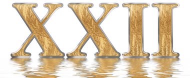 Rakamı 22, yirmi iki, izole beyaz, su yüzeyine yansıyan 3d render