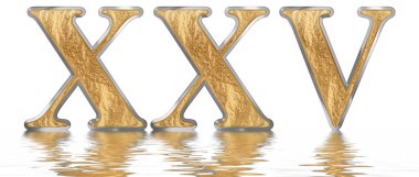 Rakamı 25, yirmi beş, izole beyaz, su yüzeyine yansıyan 3d render