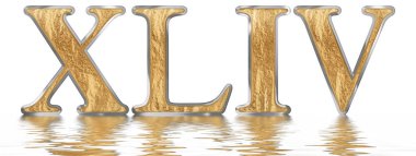 Rakamı 44, kırk dört, izole beyaz, su yüzeyine yansıyan 3d render