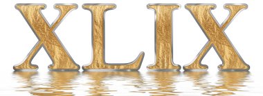 Rakamı 49, kırk dokuz, izole beyaz, su yüzeyine yansıyan 3d render