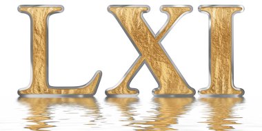 Rakamı 61, altmış bir, izole beyaz, su yüzeyine yansıyan 3d render