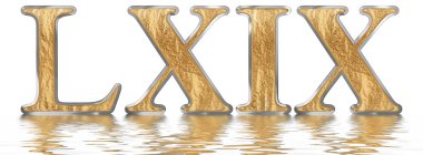 Rakamı 69, Altmış dokuz, izole beyaz, su yüzeyine yansıyan 3d render