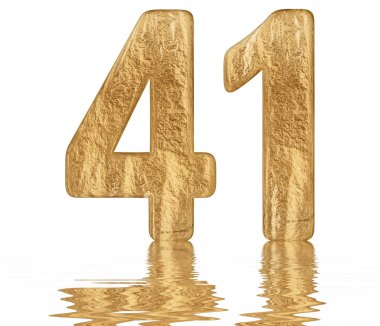 Sayı 41, kırk bir, izole beyaz, su yüzeyine yansıyan 3d render