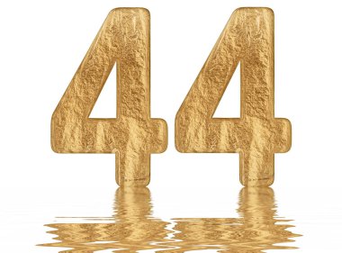 Rakamı 44, kırk dört, izole beyaz, su yüzeyine yansıyan 3d render