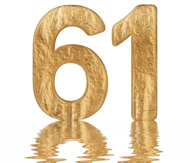 Rakamı 61, altmış bir, izole beyaz, su yüzeyine yansıyan 3d render