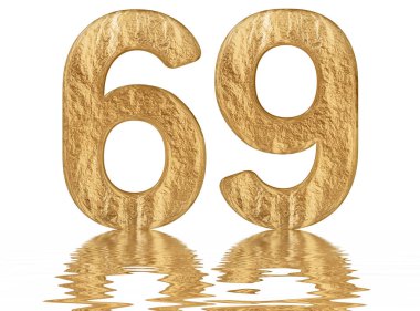 Rakamı 69, Altmış dokuz, izole beyaz, su yüzeyine yansıyan 3d render