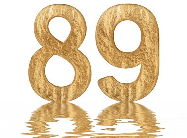 Rakamı 89, seksen dokuz, izole beyaz, su yüzeyine yansıyan 3d render