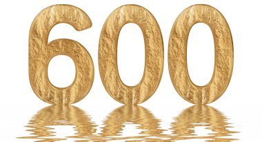Rakamı 600, altı yüz, izole beyaz, su yüzeyine yansıyan 3d render