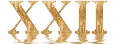 Romen rakamı XXII, duo et viginti, 22, yirmi iki, izole beyaz, su yüzeyine yansıyan 3d render