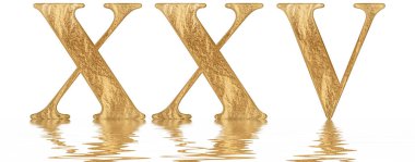 Romen rakamı Xxv, quinque et viginti, 25, yirmi beş, izole beyaz, su yüzeyine yansıyan 3d render