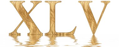 Romen rakamı Xlv, quinque et quadraginta, 45, kırk beş, izole beyaz, su yüzeyine yansıyan 3d render