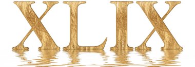 Romen rakamı XLIX, kimden et quadraginta, 49, kırk dokuz, izole beyaz, su yüzeyine yansıyan 3d render