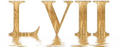 Romen rakamı Lvii, septem et quinquaginta, 57, elli yedi, izole beyaz, su yüzeyine yansıyan 3d rende
