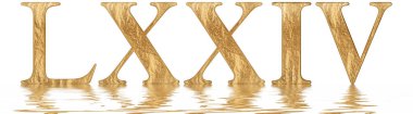 Romen rakamı Lxxiv, quattuor et septuaginta, 74, yetmiş dört, izole beyaz, su yüzeyine yansıyan 3d render