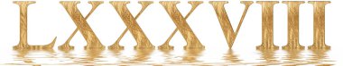 Romen rakamı Lxxxviii, octo et octoginta, 88, seksen sekiz, izole beyaz, su yüzeyine yansıyan 3d render