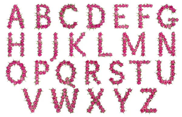 Set Lettere Alfabeto Inglese Fiori Rossi Naturali Rose Isolati Sfondo — Foto Stock