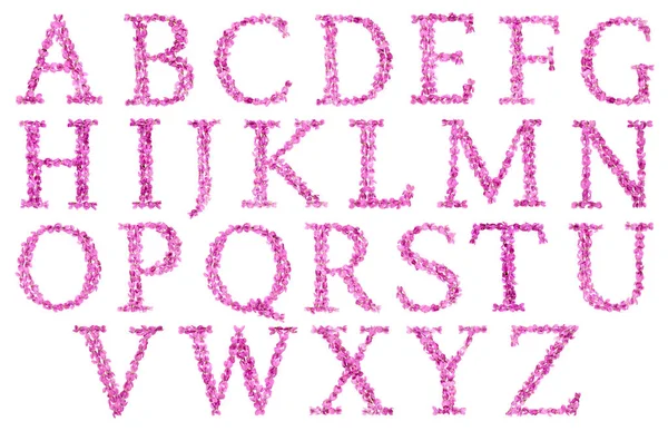 Conjunto Letras Alfabeto Inglês Flores Rosa Naturais Violeta Isoladas Fundo — Fotografia de Stock