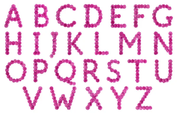 Σύνολο Των Γραμμάτων Του Αγγλικού Αλφαβήτου Από Φυσικό Ροζ Λουλούδια — Φωτογραφία Αρχείου