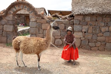 Sillustani, Peru  October 25, 2018: Woman with Guanaco is posing for Tourists in Peru. South America clipart