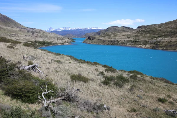 Jezero Pehoe Národním Parku Torres Del Paine Patagonie Chile — Stock fotografie