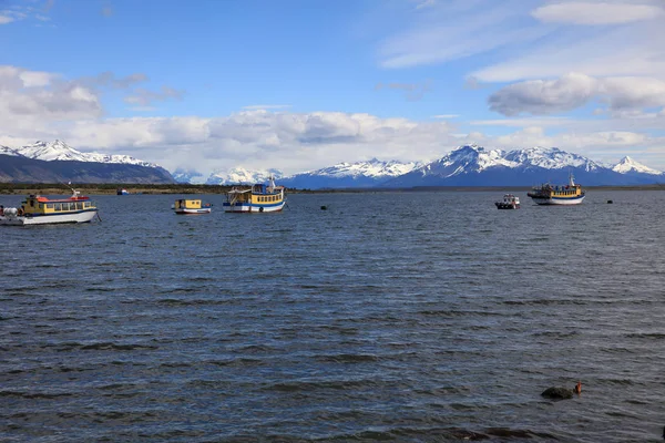 Tekneler Puerto Natales Patagonia Harbor Şili — Stok fotoğraf