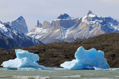 Buzdağları Gölü gri. Torres del Paine Millî Parkı. Patagonya. Şili