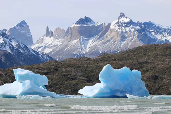 Des Icebergs Dans Lac Grey Parc National Des Torres Del — Photo