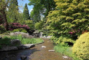 Hamburg'daki Public Park Planten un Blomen. Almanya