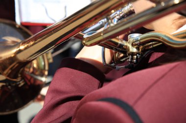 Trombon Sanatçısı Almanya'da Bir Açık Hava Konserinde