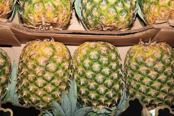 Färska Ekologiska Ananas Farmers Market Catania Sicilien — Stockfoto