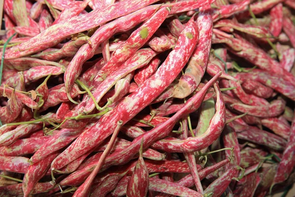 Haricots Rouges Biologiques Frais Sur Marché Fermier Catane Sicile — Photo