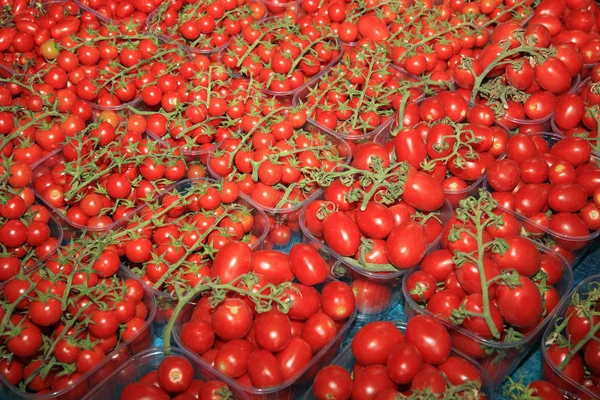 Färska Organiska Körsbärstomater Farmers Market Catania Sicilien — Stockfoto