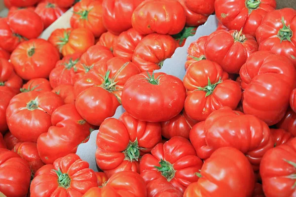 Tomates Tranchantes Biologiques Fraîches Sur Marché Fermier Catane Sicile — Photo