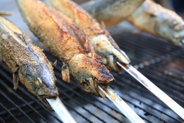 Barbekü Partisi'nde Stick'te Taze Uskumru. Almanya